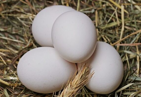 A dieta de ovos implica comer ovos de galiña diariamente. 